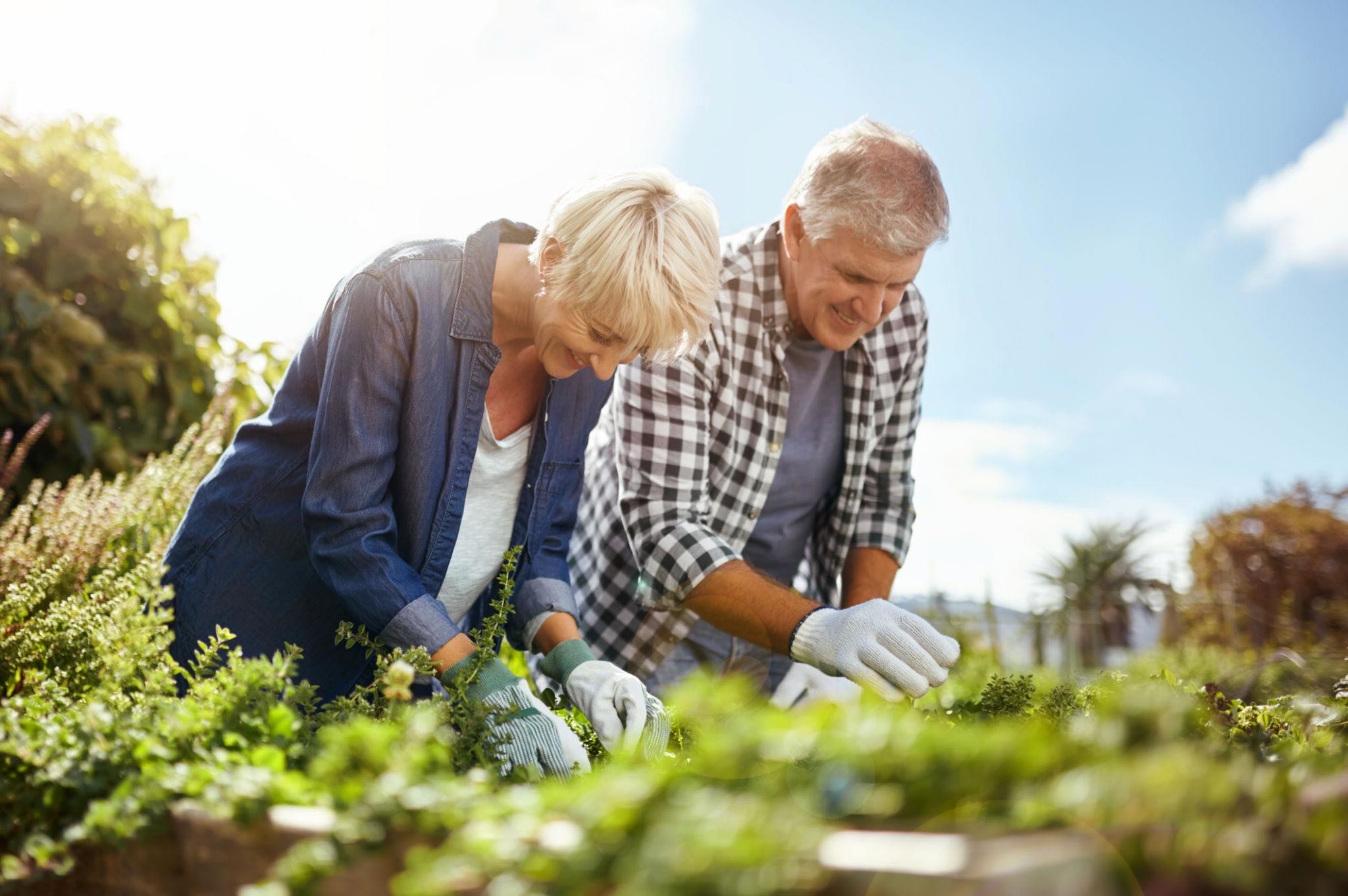 Partners creating a shared retirement vision